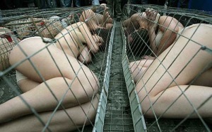 La tratta di esseri umani (da Italintermedia)