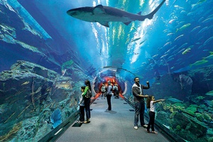 Il tunnel dell'Underwater zoo dentro il Dubai Mall