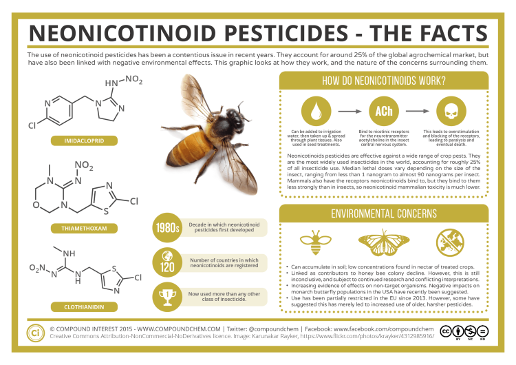 pesticidi neonicotinoidi e api